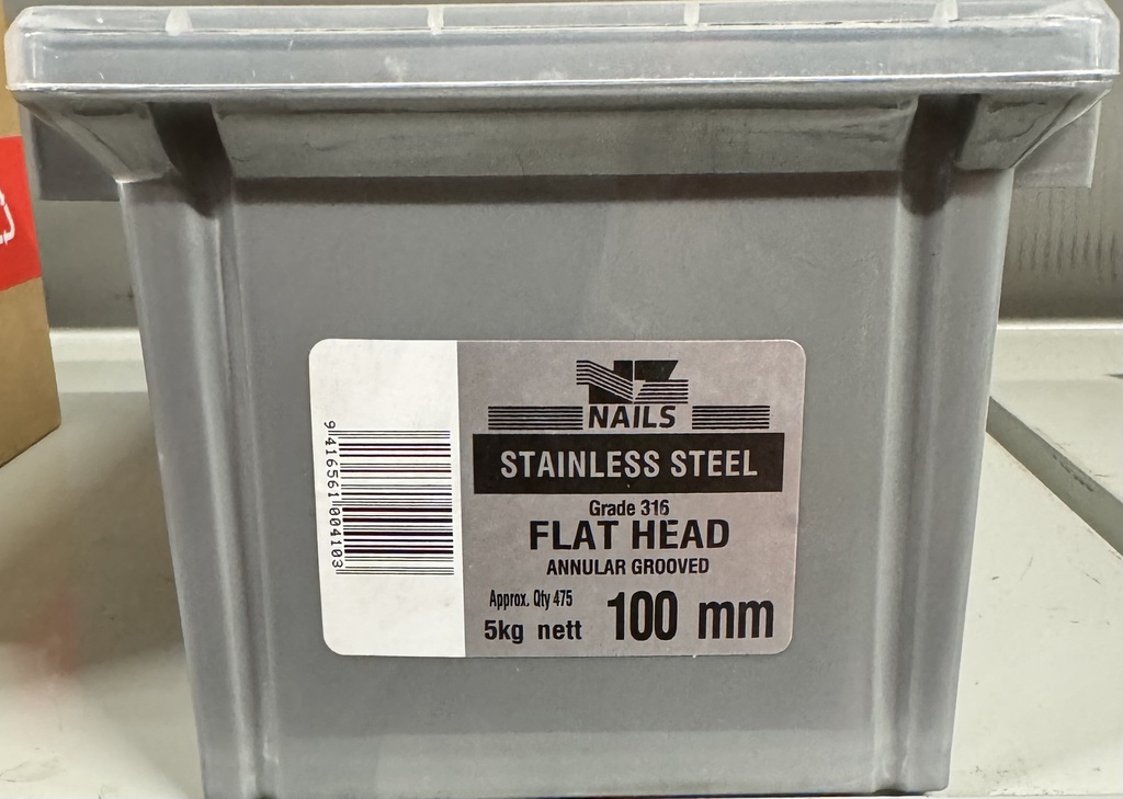 NAIL 5KG 100MM STAINLESS STEEL A/G FLAT HEAD