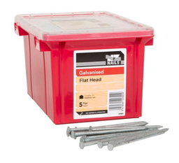 [106780] NAIL 5KG  60 x 2.8MM  GALV FLAT HEAD